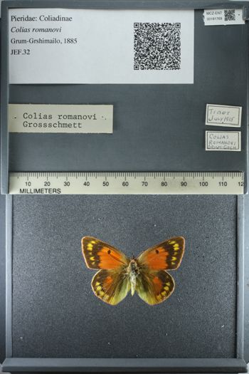 Media type: image;   Entomology 181769